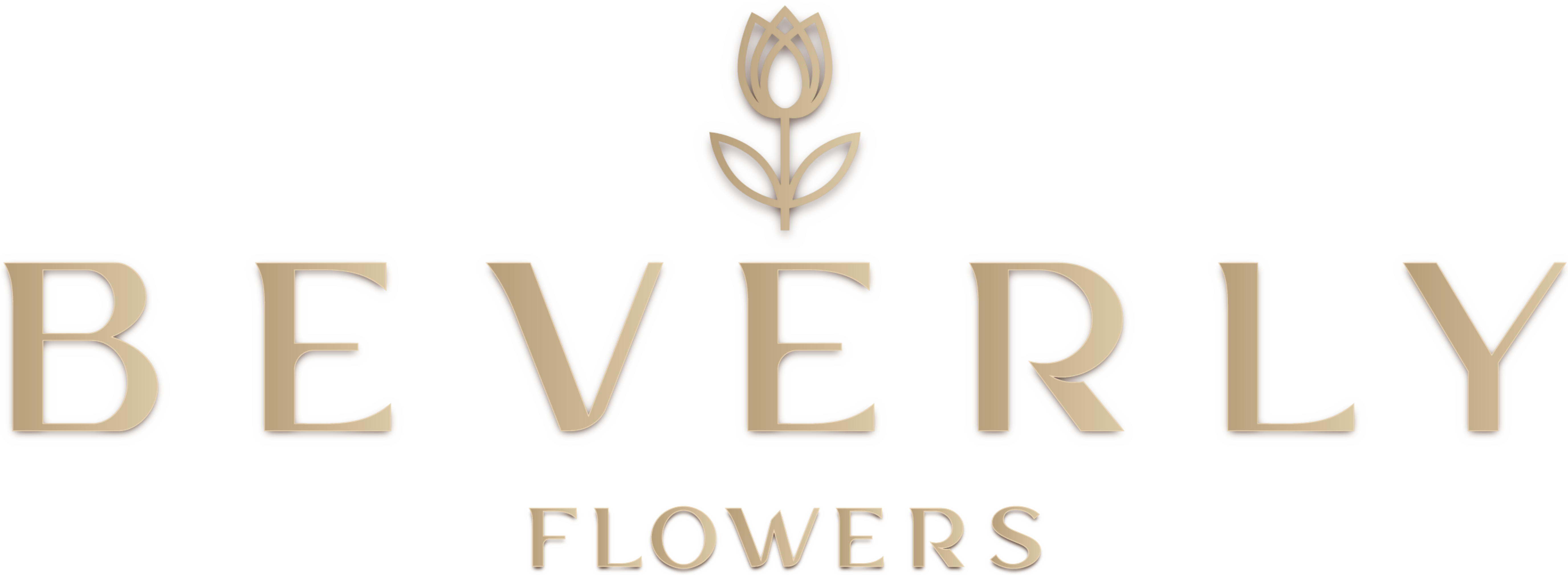 site logo transparent